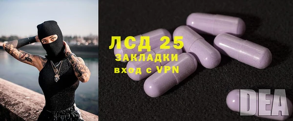 прущий лед Бородино