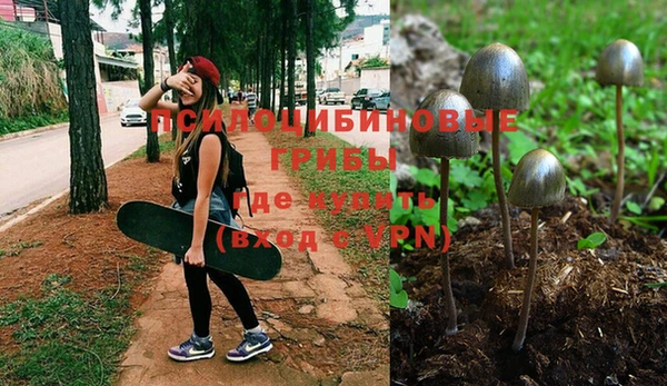 MDMA Premium VHQ Верхний Тагил