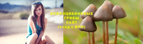 MDMA Premium VHQ Верхний Тагил