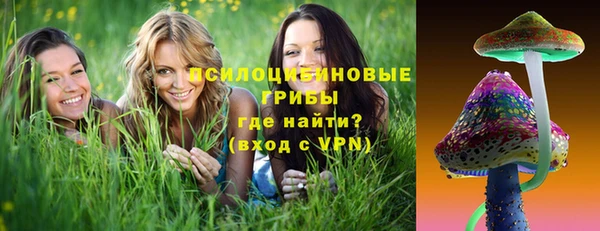 соль ск Бугульма