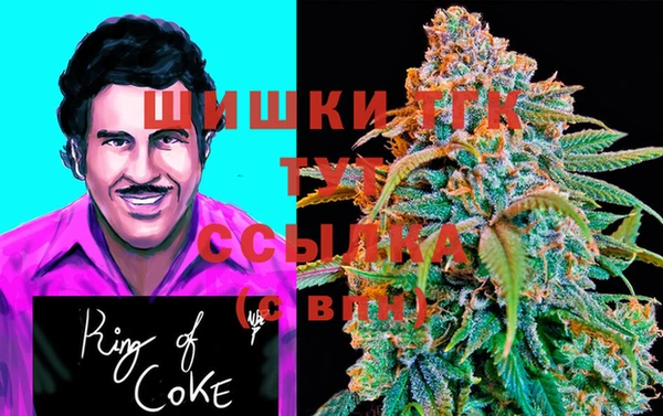 PSILOCYBIN Саяногорск