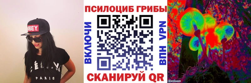 Псилоцибиновые грибы GOLDEN TEACHER  Дудинка 